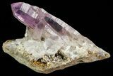Amethyst Crystal - Las Vigas, Mexico #80598-1